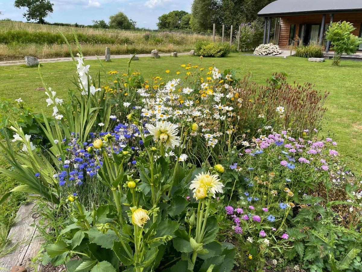 Foxglove Glastonbury Extérieur photo